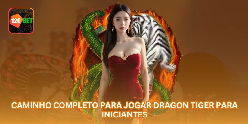 Caminho completo para jogar Dragon Tiger para iniciantes.